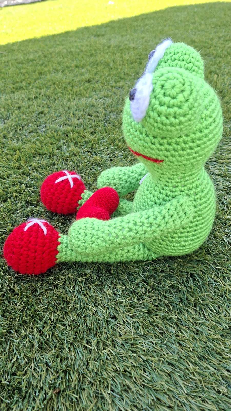 Frog